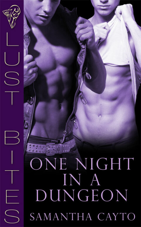 Cover image for book One Night in a Dungeon