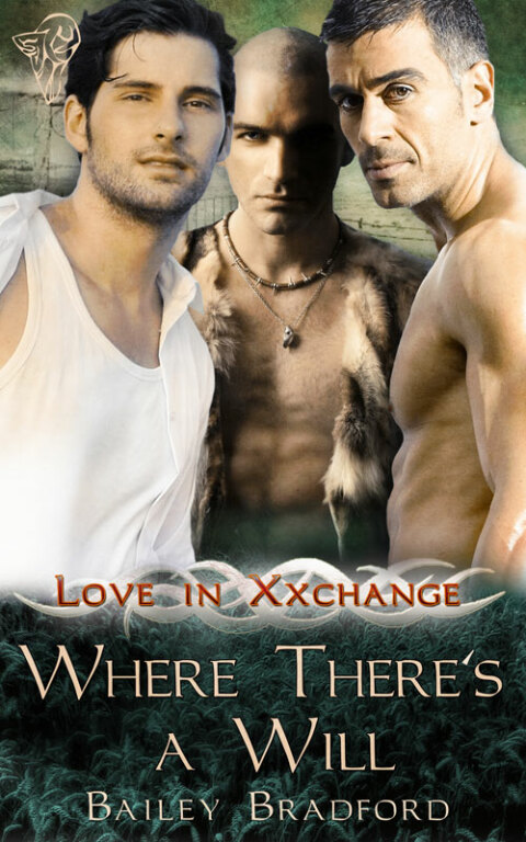 Cover image for book Where There's A Will