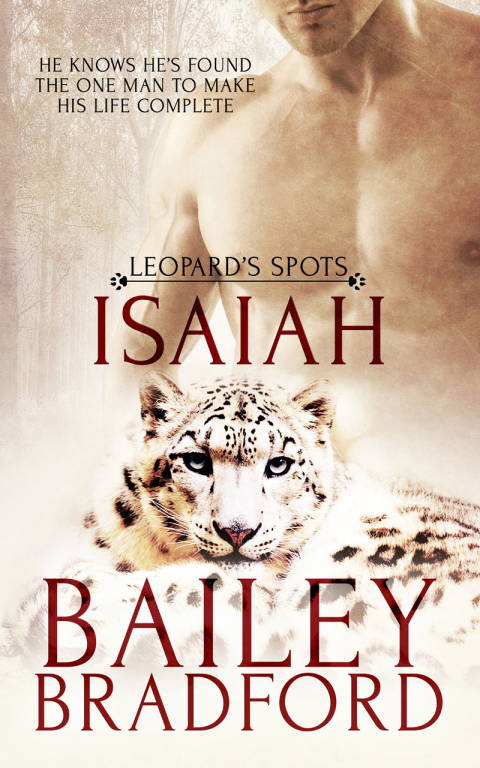 Cover image for book Isaiah