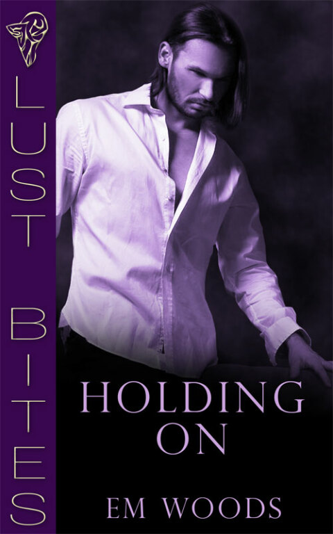 Cover image for book Holding On