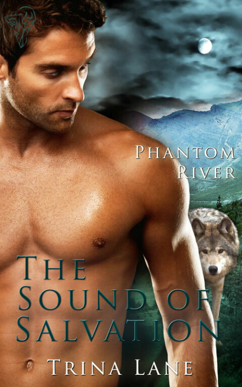 Cover image for book The Sound of Salvation