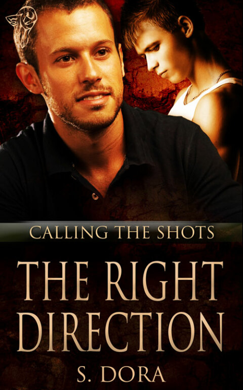 Cover image for book The Right Direction