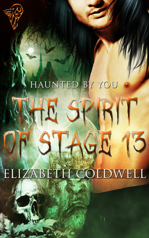 Cover image for book The Spirit of Stage 13