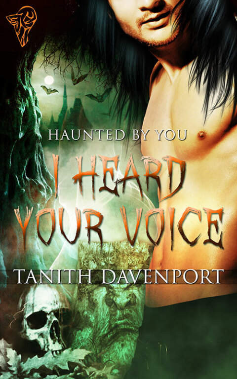 Cover image for book I Heard Your Voice