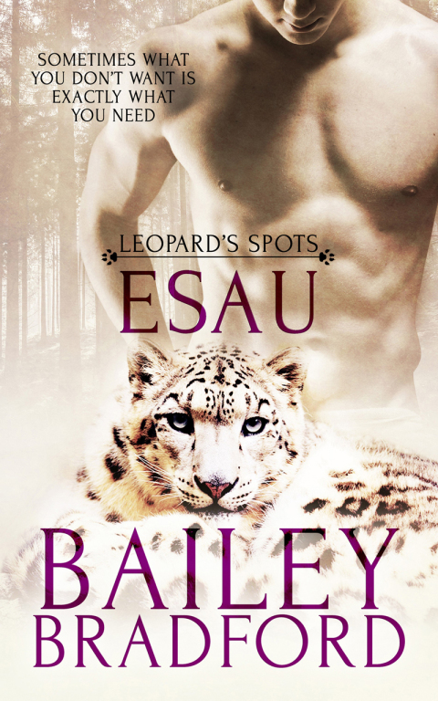 Cover image for book Esau