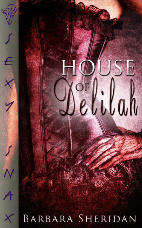 Cover image for book House of Delilah