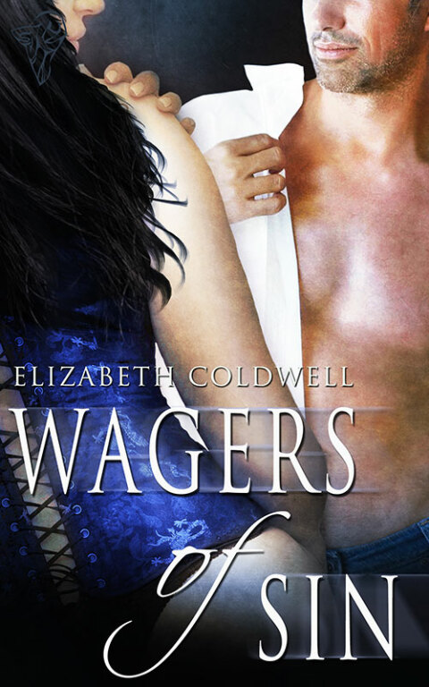 Cover image for book Wagers of Sin