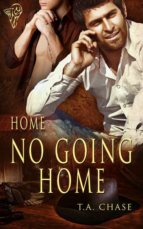 Cover image for book No Going Home