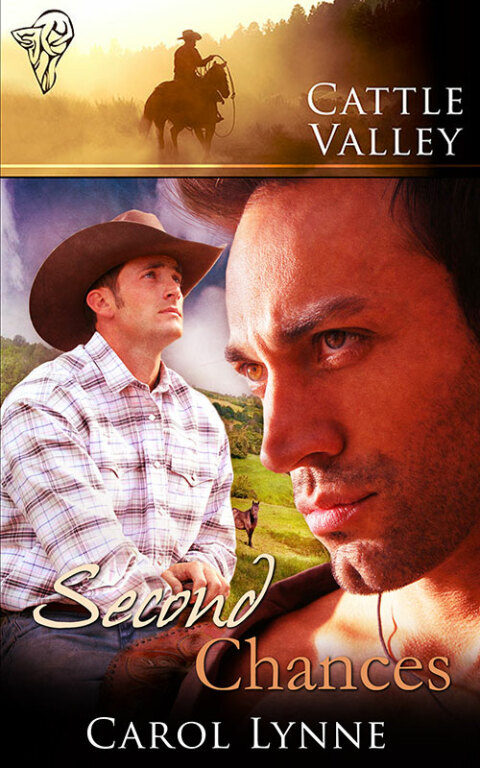 Cover image for book Second Chances