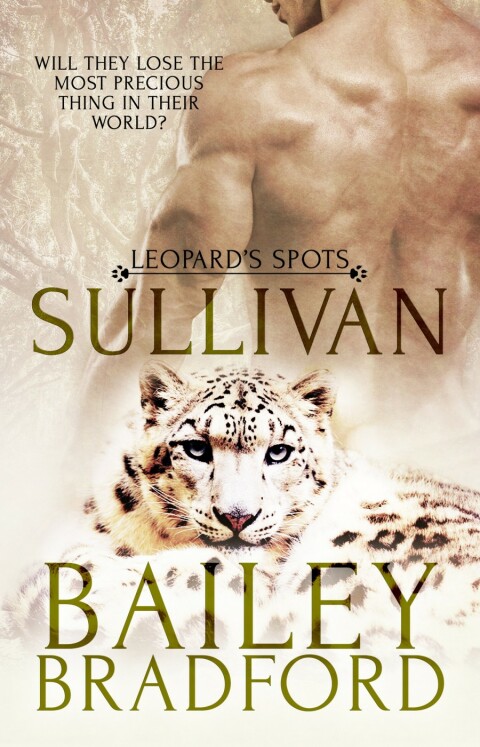 Cover image for book Sullivan
