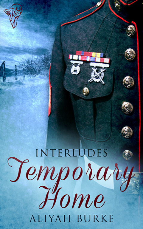 Cover image for book Temporary Home