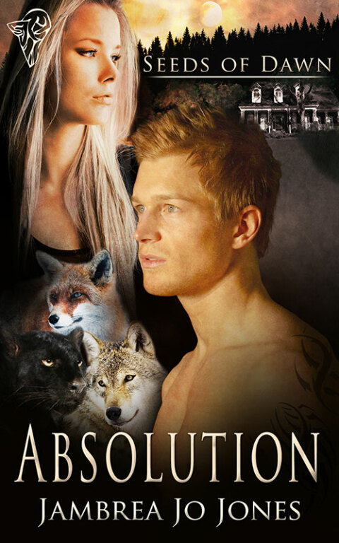 Cover image for book Absolution