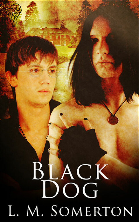 Cover image for book Black Dog