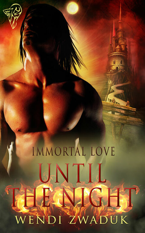 Cover image for book Until the Night