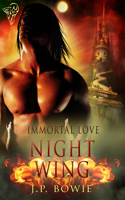 Cover image for book Night Wing