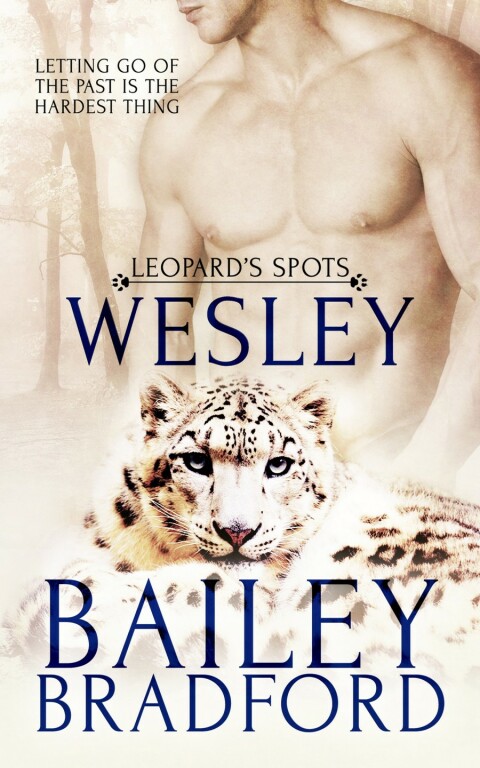 Cover image for book Wesley