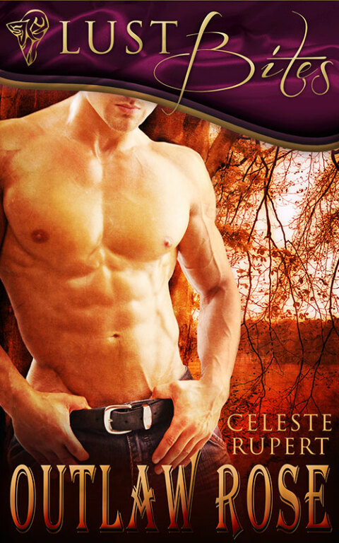 Cover image for book Outlaw Rose