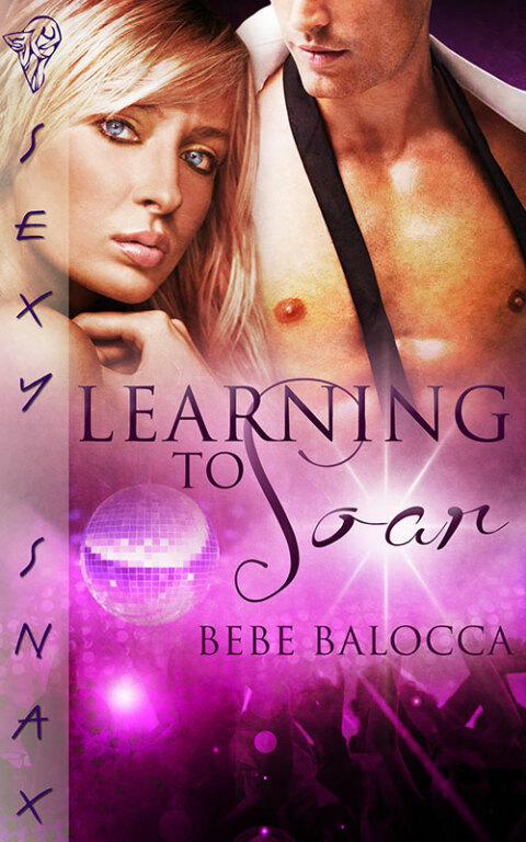 Cover image for book Learning to Soar