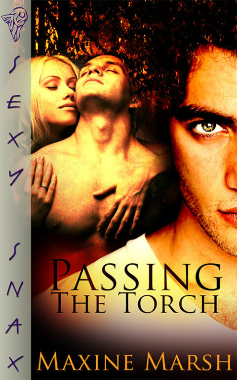Cover image for book Passing The Torch