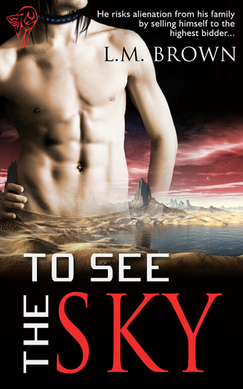 Cover image for book To See the Sky