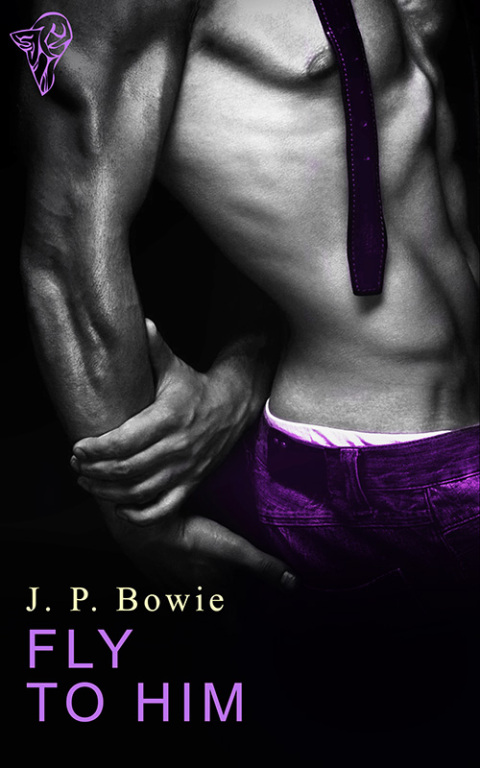 Cover image for book Fly to Him
