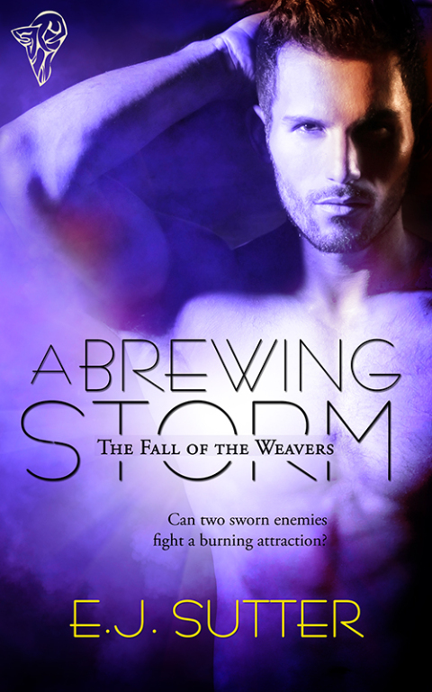 Cover image for book A Brewing Storm