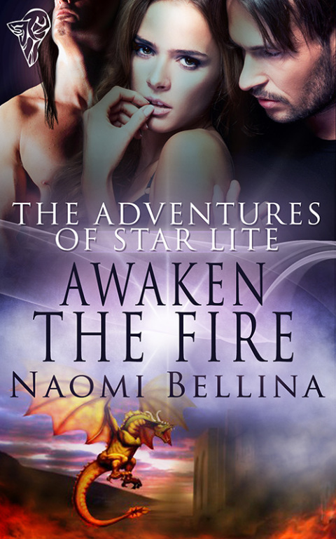 Cover image for book Awaken the Fire