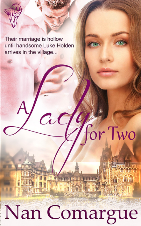 Cover image for book A Lady for Two
