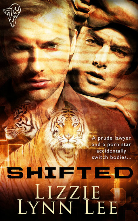 Cover image for book Shifted