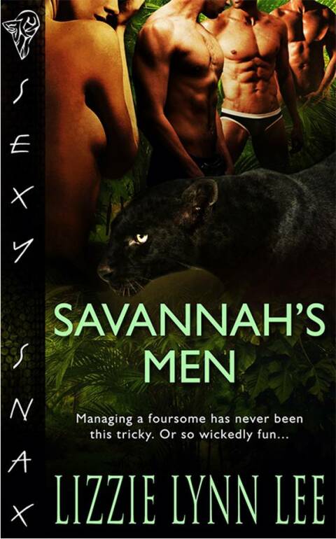 Cover image for book Savannah's Men