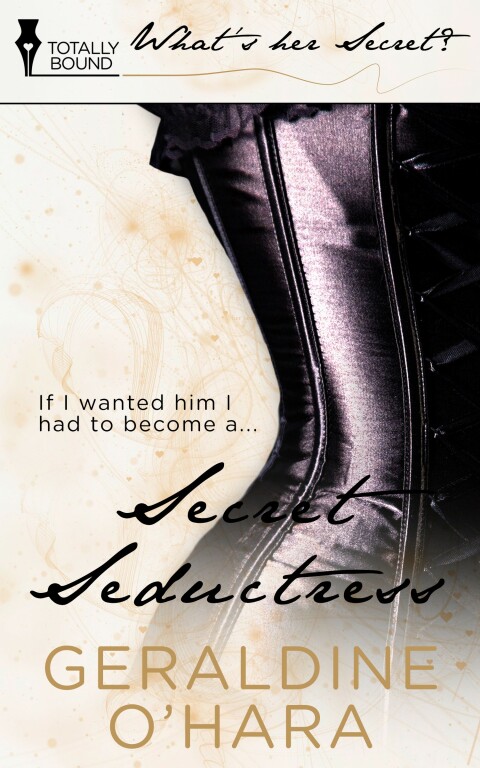 Cover image for book Secret Seductress