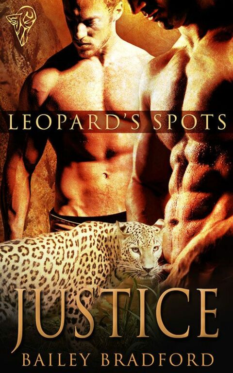 Cover image for book Justice