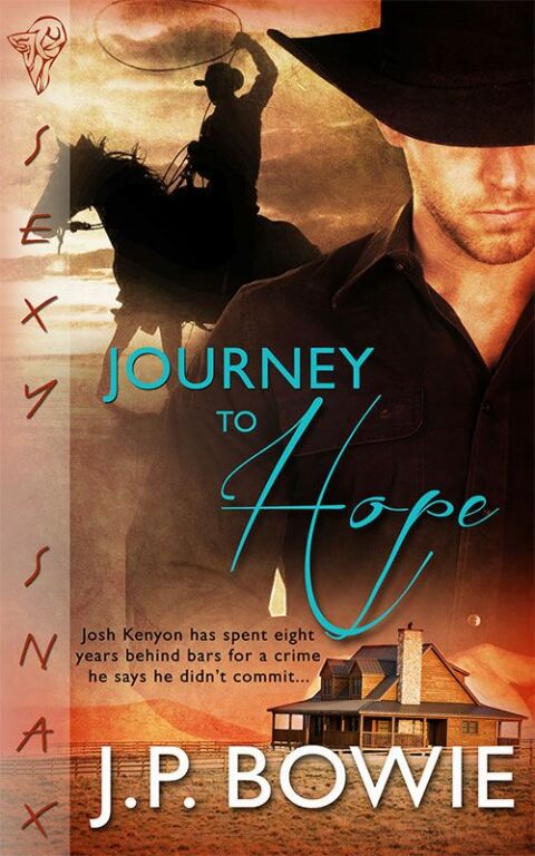 Cover image for book Journey to Hope