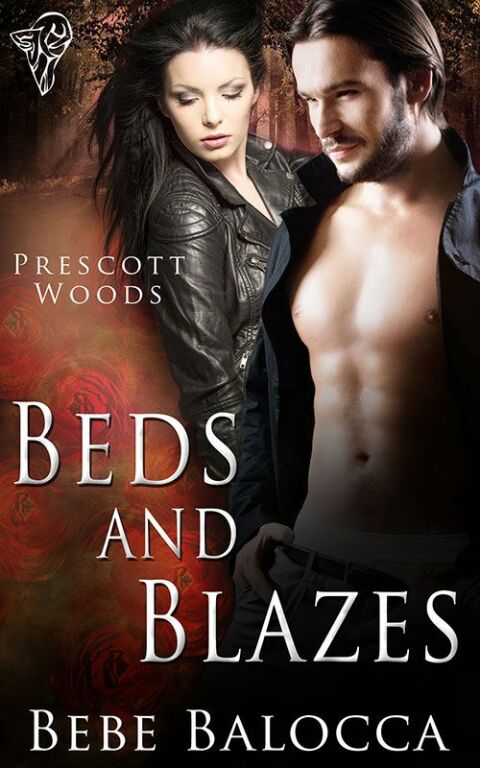 Cover image for book Beds and Blazes