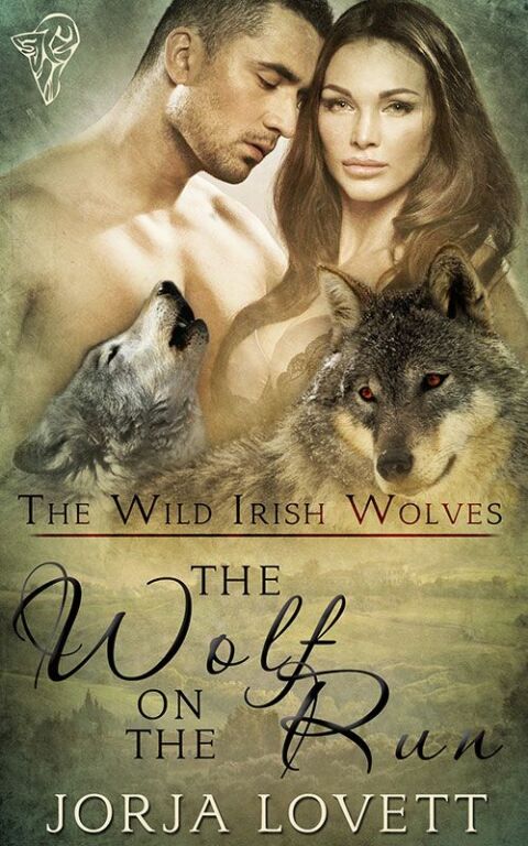 Cover image for book The Wolf on the Run