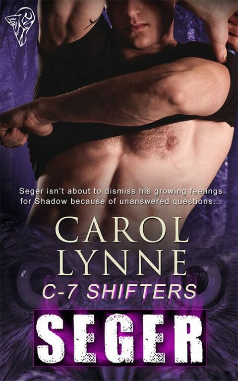 Cover image for book Seger