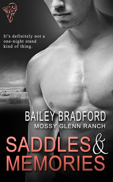 Cover image for book Saddles and Memories