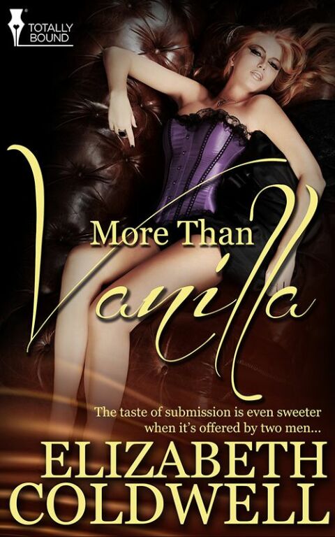 Cover image for book More than Vanilla