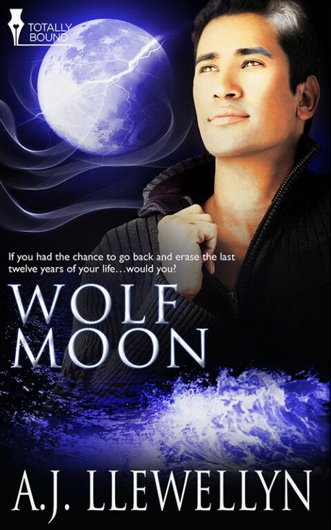Cover image for book Wolf Moon