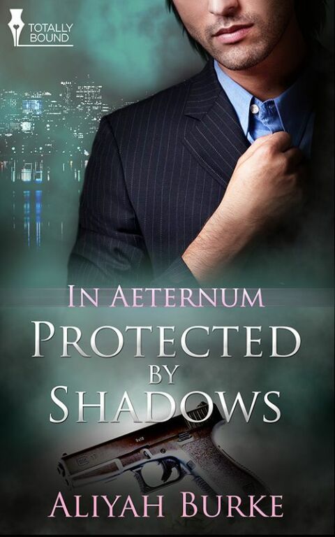 Cover image for book Protected by Shadows