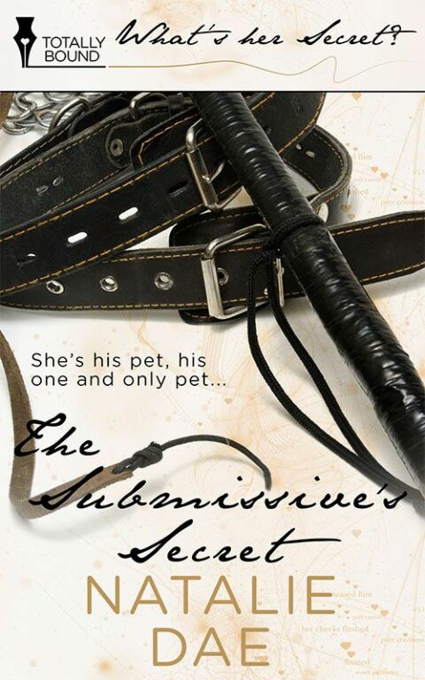 Cover image for book The Submissive's Secret