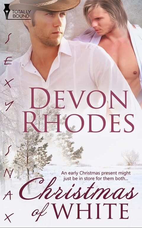 Cover image for book Christmas of White