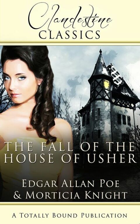 Cover image for book The Fall of the House of Usher