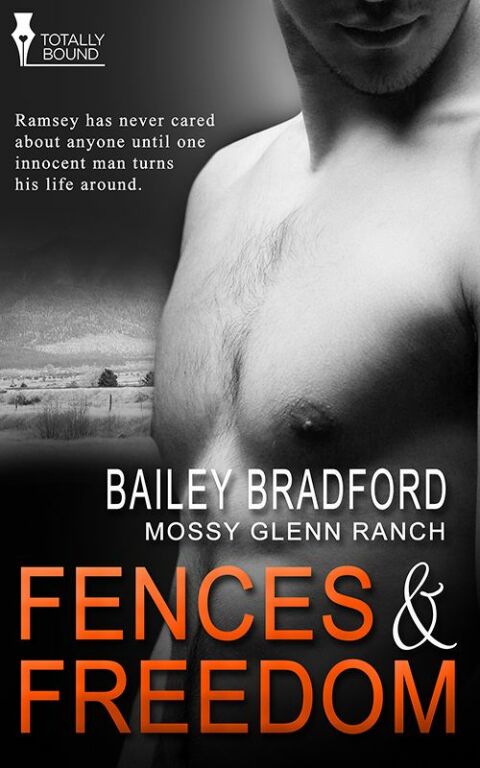 Cover image for book Fences and Freedom