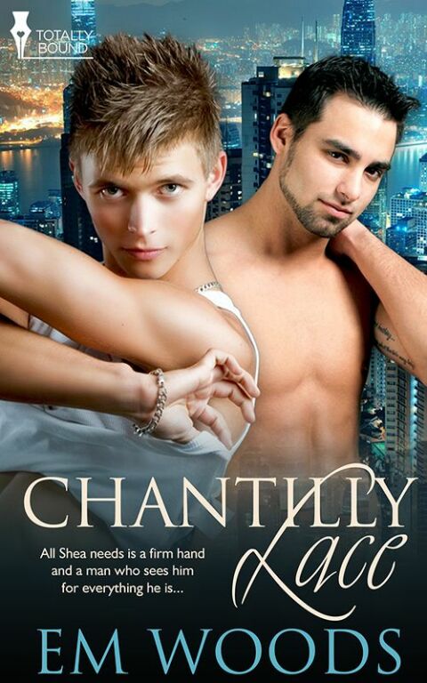 Cover image for book Chantilly Lace