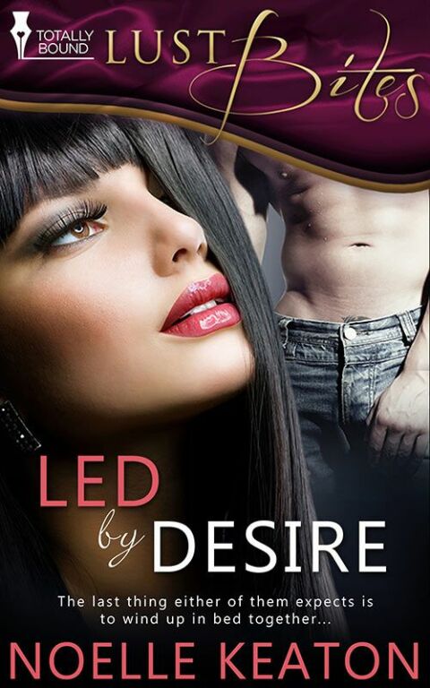 Cover image for book Led by Desire