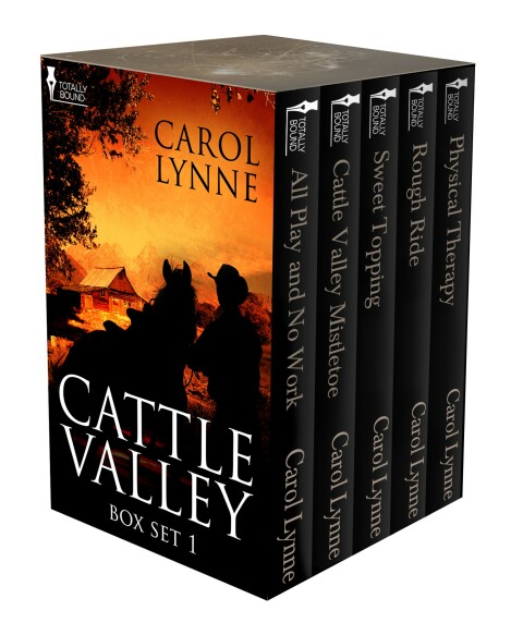 Cover image for book Cattle Valley Box Set 1