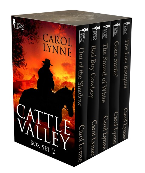 Cover image for book Cattle Valley Box Set 2