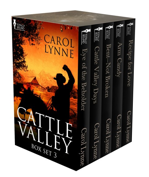 Cover image for book Cattle Valley Box Set 3