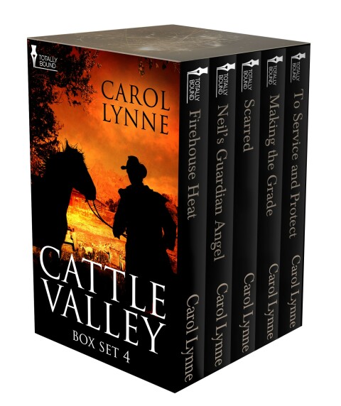 Cover image for book Cattle Valley Box Set 4